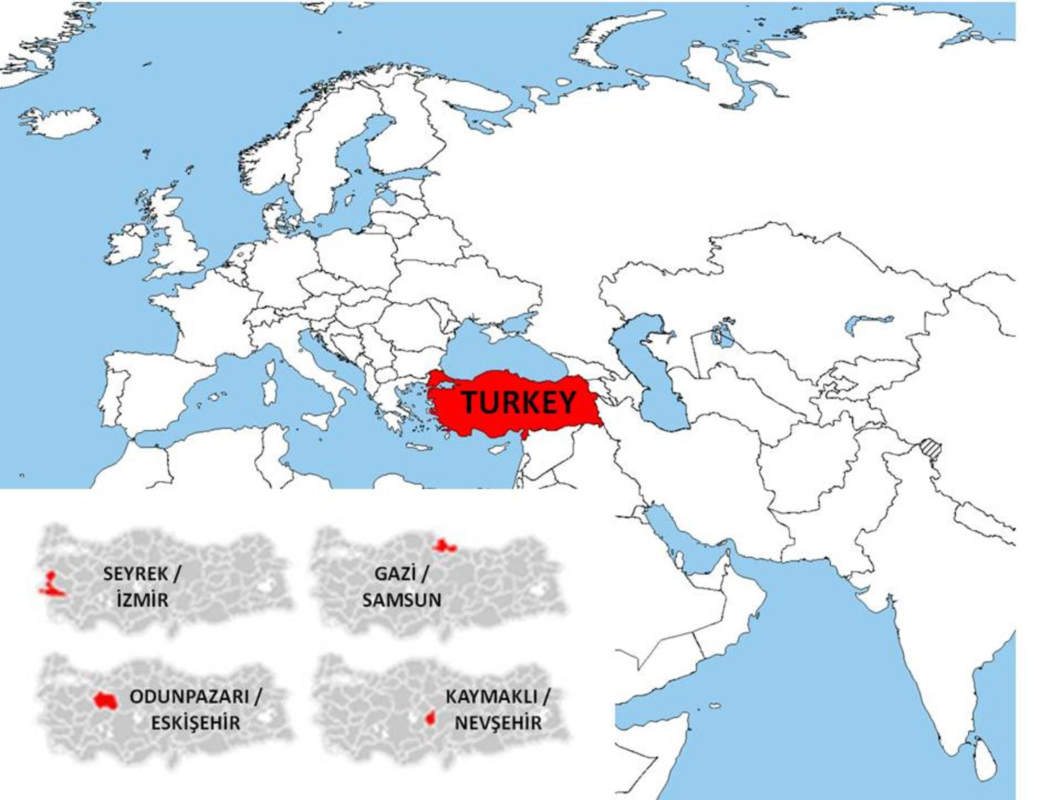 Fig. 1. Map of Turkey and the cities where the case areas are located.